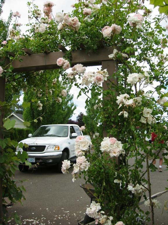 Garden Angels The Landscape Design Salem OR 97302 5035815356